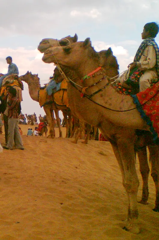 packers and movers in jaisalmer