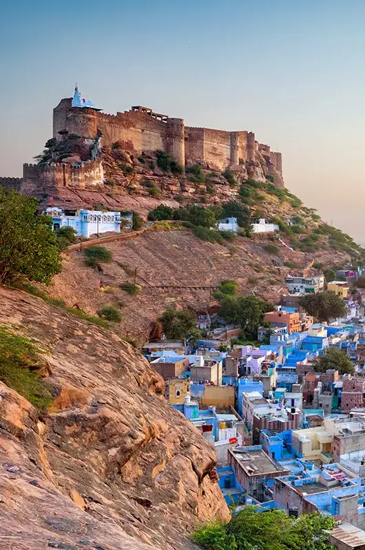 packers and movers in jodhpur