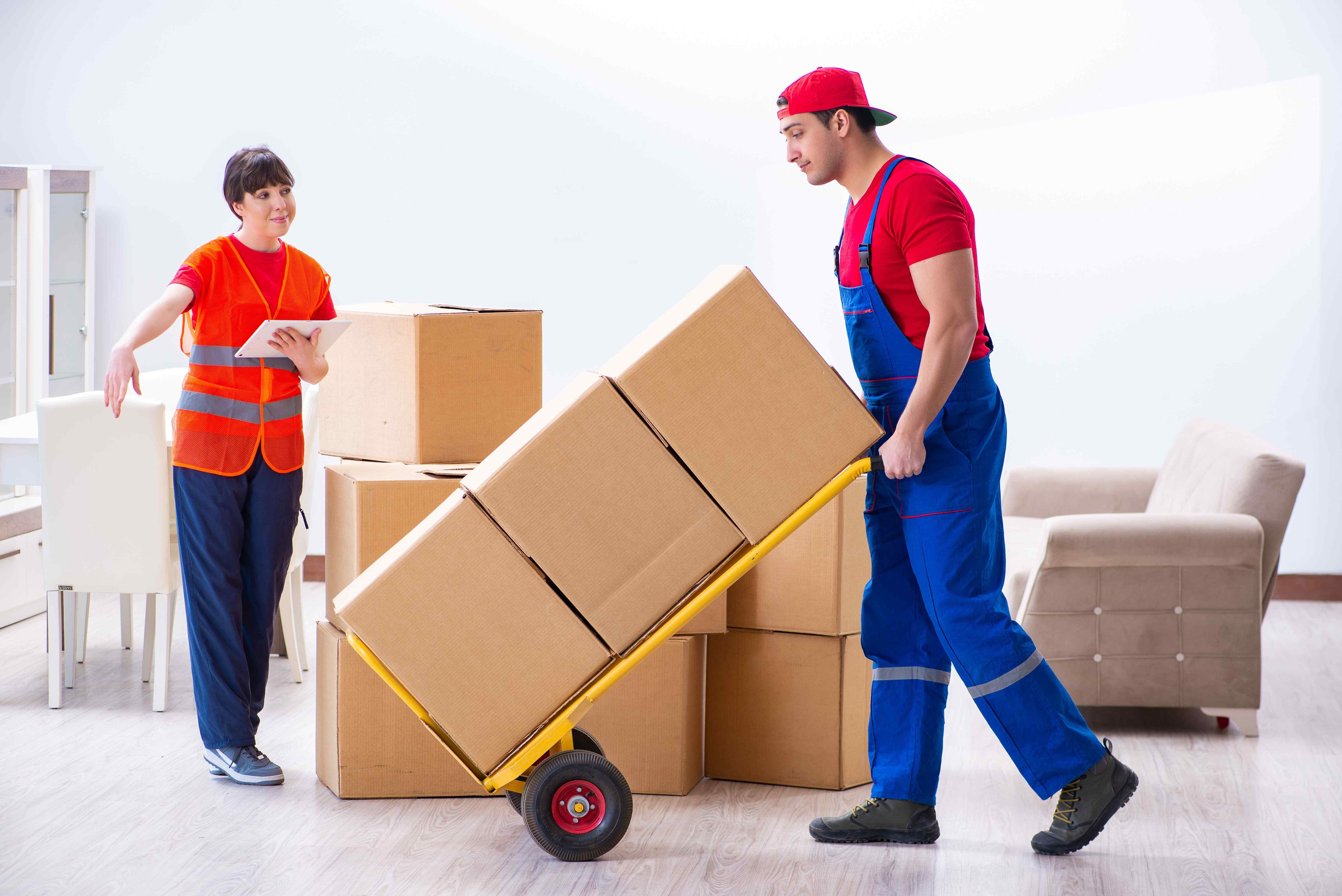 Packers and Movers Jaipur